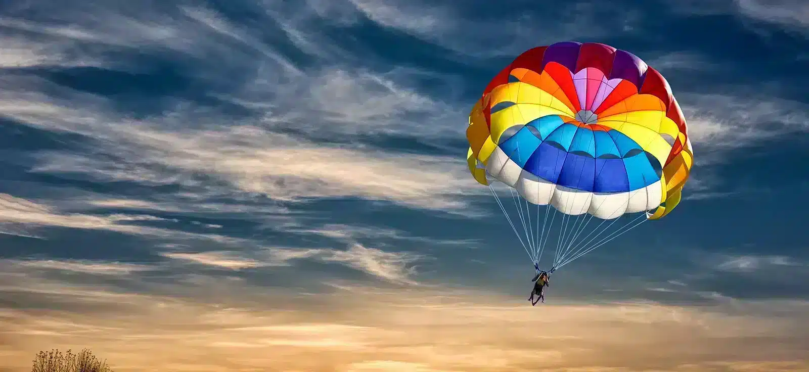 People are gliding with a parachute on the background of sunset.
